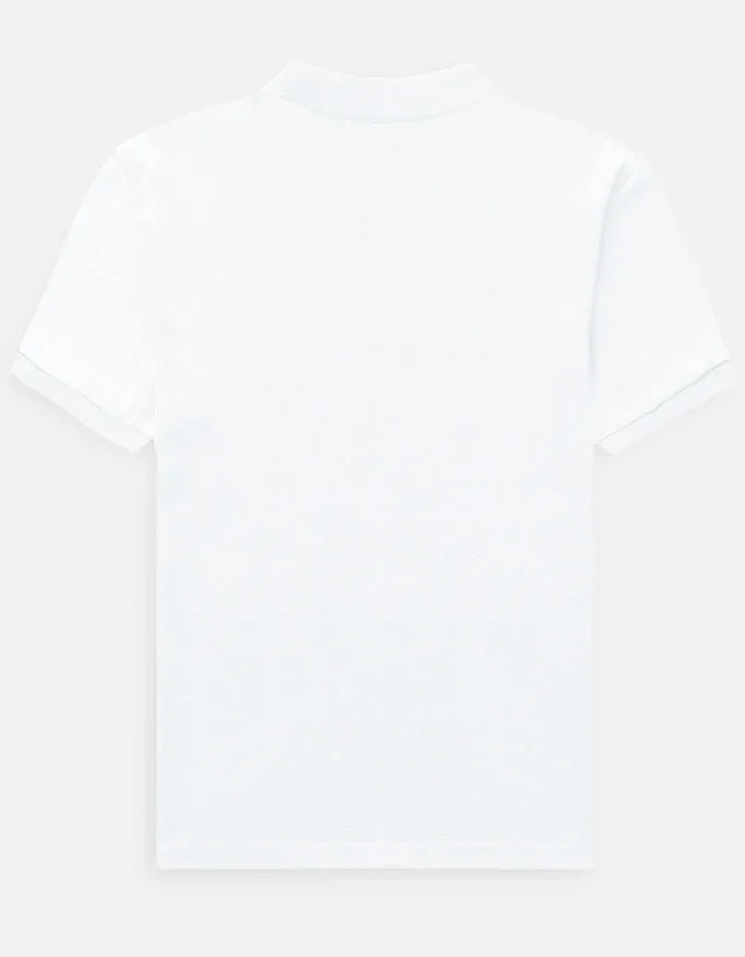 Men's Polo - VIVA ENTERPRISES 